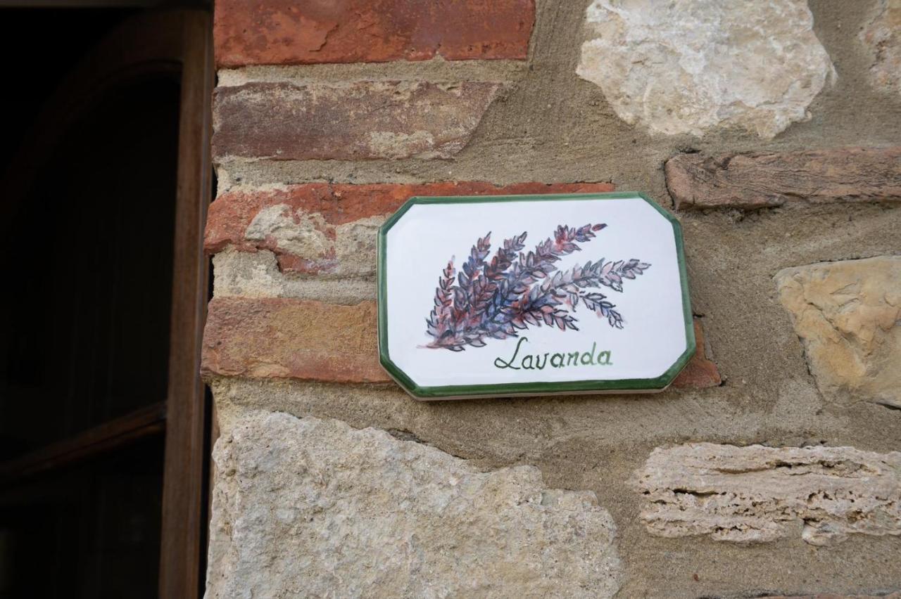 Casa Lavanda - Podere Fossaccio أسكيانو المظهر الخارجي الصورة